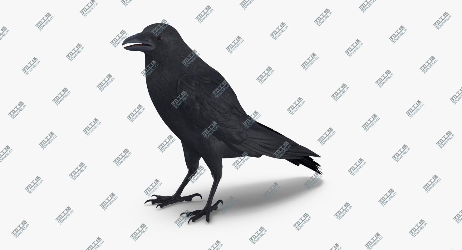 images/goods_img/202104022/Crow 3 Poses 3D model/3.jpg